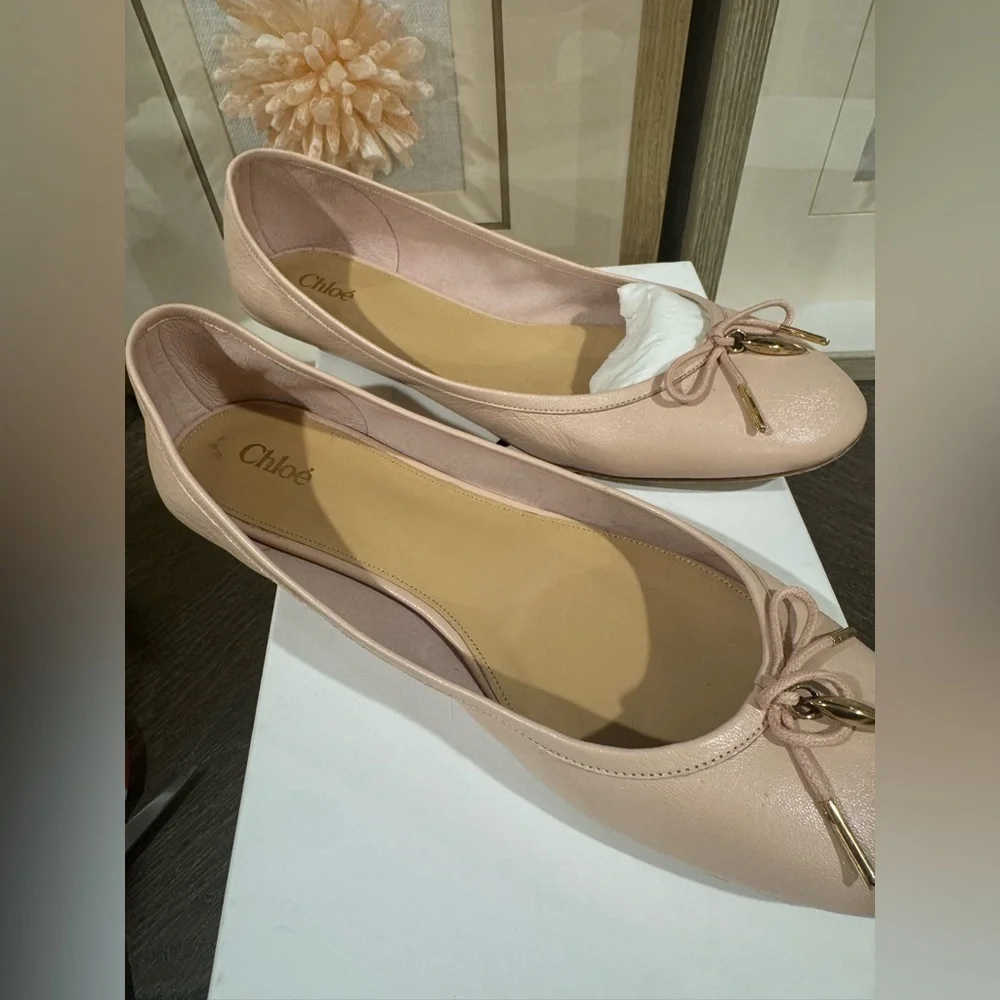 Chloé Iris leather ballet flats. Pink Blush. Size 41 New in Box. Authentic
